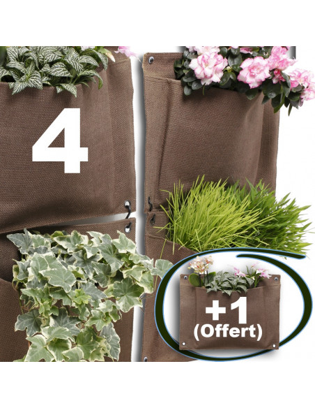 Lot de 4 Flower Pocket  + 1 Offert 