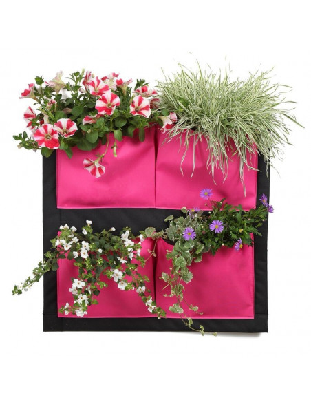 Plante Murale a Accrocher, Mur Vegetal Rose