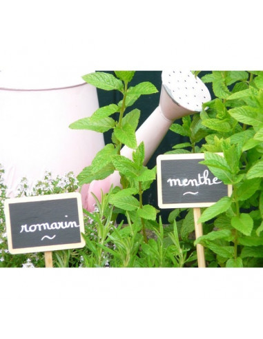 Etiquette Jardin Bois et Ardoise x4