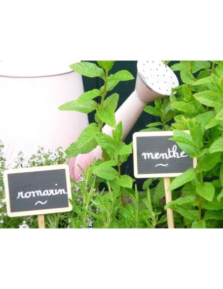 Etiquette Jardin Bois et Ardoise x4 Etiquette Jardin Bois et Ardoise x4