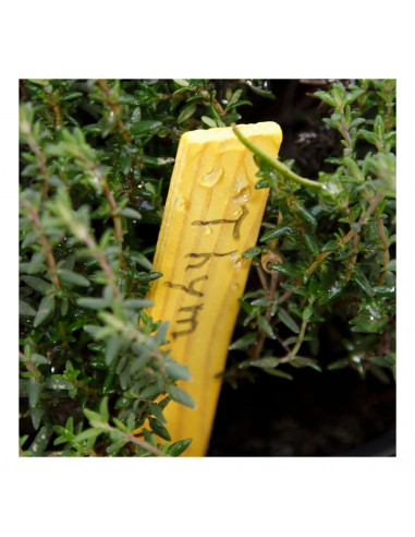 2 crayons graphite spécial étiquette en bois