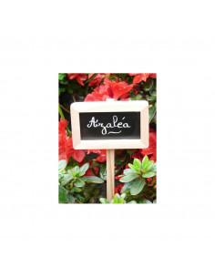 Etiquette de Jatdin en Bois x3 2