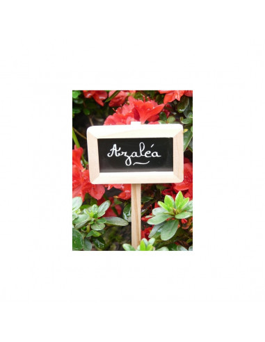 Etiquette de Jatdin en Bois x3