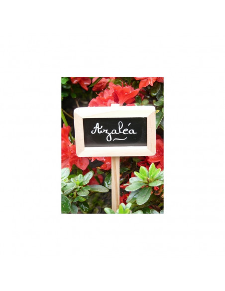 Etiquette de Jatdin en Bois x3