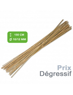 Tuteur Bambou 150cm - Prix Dégressif
