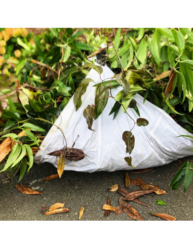 Bache jardin - materiel entretien du jardin (A)