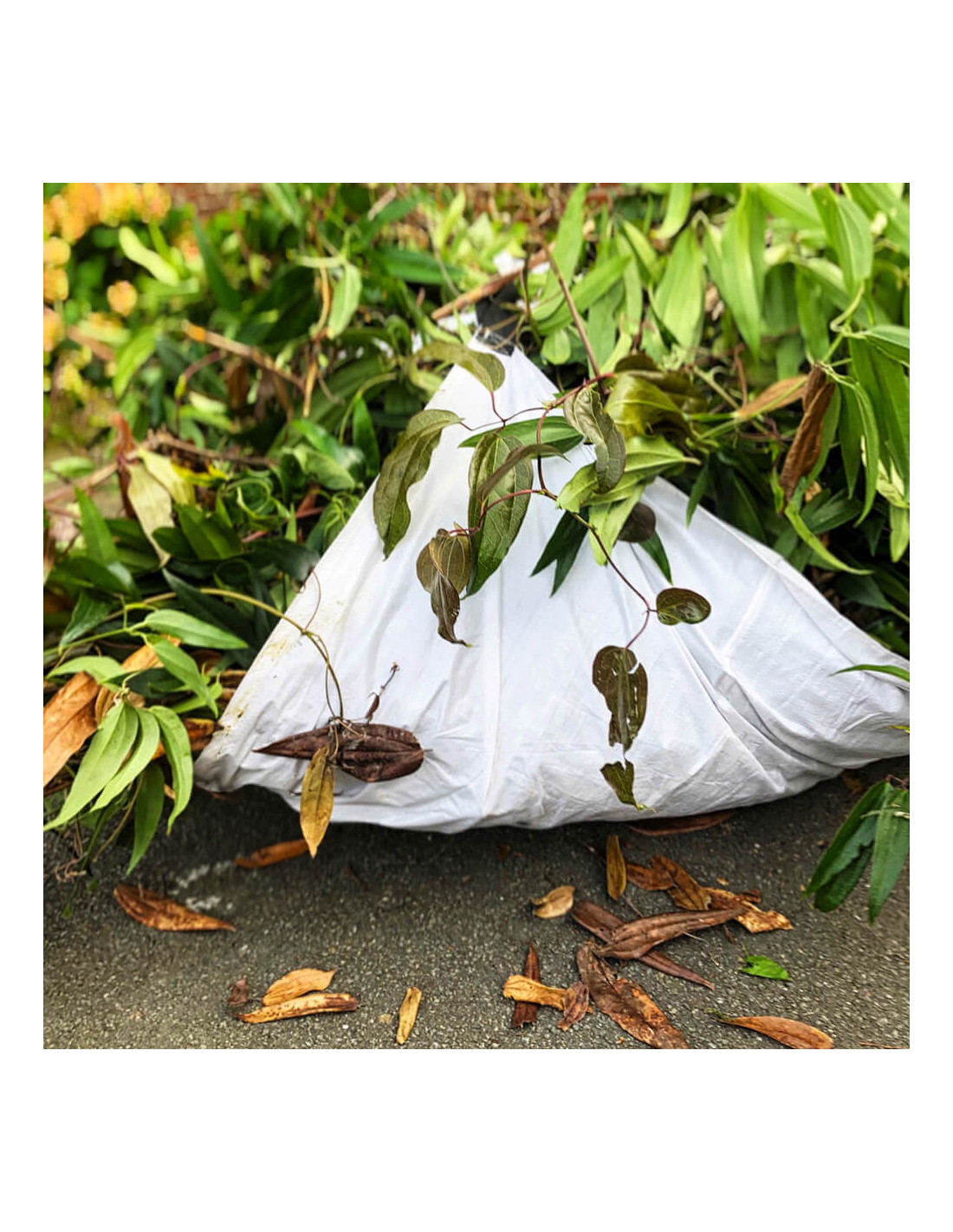 Bache de Ramassage - Entretien jardin