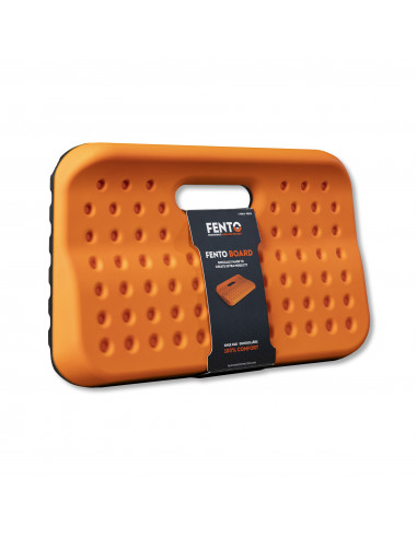 Protection Fento Board