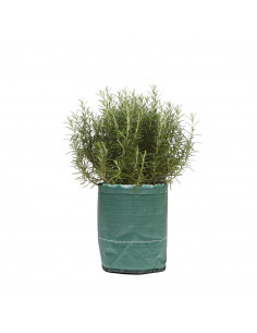 Pot à Planter Vert 35 litres