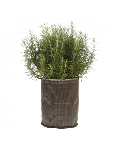Pot à Planter Marron 70 litres